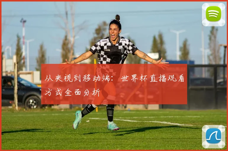 从央视到移动端：世界杯直播观看方式全面分析