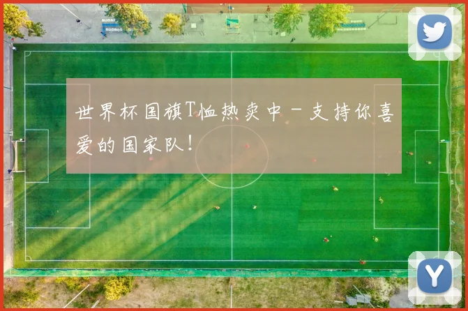 世界杯国旗T恤热卖中 - 支持你喜爱的国家队！
