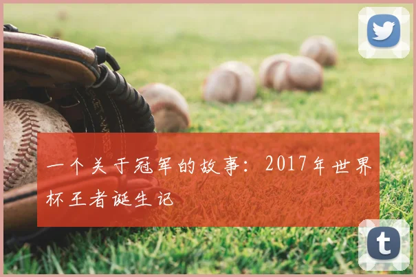 一个关于冠军的故事：2017年世界杯王者诞生记