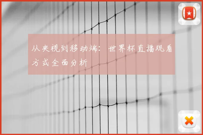 从央视到移动端：世界杯直播观看方式全面分析