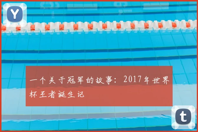 一个关于冠军的故事：2017年世界杯王者诞生记