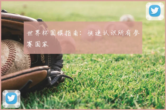 世界杯国旗指南：快速认识所有参赛国家